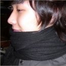 늑대랑여우랑 이미지