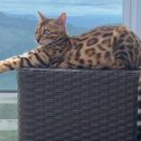 사랑종합동물병원 이미지