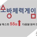 위닝체대입시