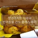 잇트릿 | [쌀이] 아산 청년아지트 나와유 클래스 후기 (반려견 수제간식)