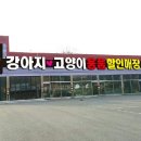 이츠펫(광혜원점) 이미지