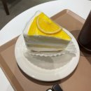 사당역 카페 하라리 후기, 주말 방문 후기