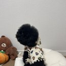 핏더독 네이버블로그