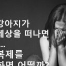 웰튼동물의료센터 이미지