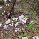 해다미펜션 이미지