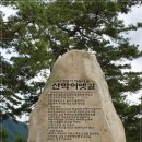 산막이옛길(14. 6. 4)을 걸으면서 마음의 평화를 얻다 이미지