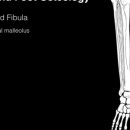 새터 한의원 이미지