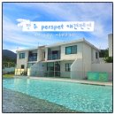경주 퍼스펫 애견펜션 101호 내돈내산 수영장 운동장 후기
