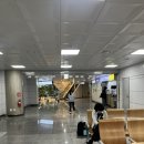 제주공항 현대서비스 | [리뷰] 제주공항에서 호텔까지 배송서비스 이용후기 :: 짐캐리 수하물보관소