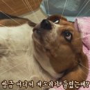 스타벅스대전만년점 이미지