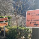 빵드마망 이미지