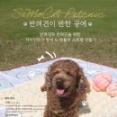 햇살공예 이미지