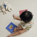도서출판 이른아침 | 14개월 아기 책 베베추피 낱권 후기｜세이펜 호환 보드북 (와디즈 펀딩 구매 추천)