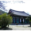 팔영산자연휴양림 이미지