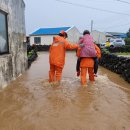 하모리-43 이미지