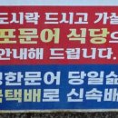 양포문어 이미지