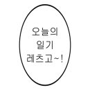 밸런스마켓 이미지