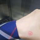 늘푸른나무복지관 | 21대 대통령선거 사전투표후 늘푸른나무복지관에서 장애인선거연수 진행