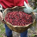 우림교역 이미지