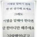 민에프씨 이미지