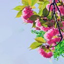 화려한외출 - 중구 | 화려한외출