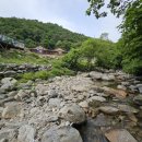 어비 포레스트 이미지