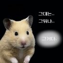 4월결산
