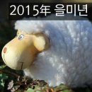 정진자동차 이미지