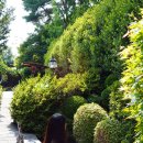 도랑가 | 경기도 양평 가볼만한곳 야외정원 더그림 양평 카페