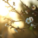 피지건설(주) 네이버블로그