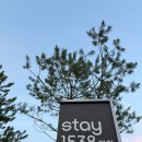 방은목장 | 포스코 직원 휴양시설 stay1538평창 애견동반 룸 이용 후기