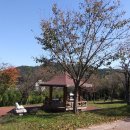 선산(창원) 이미지