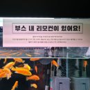 물고기
