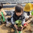 아르떼어린이집 | 백석동과 차암동어린이집 고민이라면? 아르떼어린이집은 어떤가요?