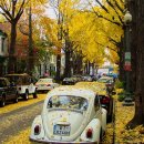 디테일링 스팀세차 이미지