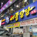 어풍당당망포역점 | 망포역횟집 어풍당당 망포역점 가을 전어 내돈내산