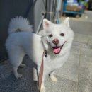 서봉산산림욕장 이미지