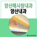 배내과의원 이미지