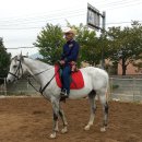 카우보이 이미지