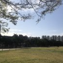 [압구정 미용실] 꼼나나도산점 하이라이트염색 옴브레 솜브레 후기!