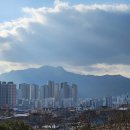 구미 행정사 이미지