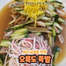 오륙도족발 | [부산 맛집] 남포동 족발골목 오륙도족발 냉채족발 내돈내산