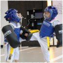 프리미엄 태권마루 태권도장 이미지