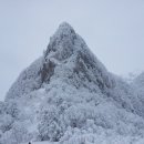 한라산 등산 이미지