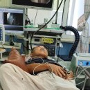 미소팜 | 생강차 효능으로 비염 개선.