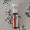 올인원푸드 | 나우푸드코리아 스트레스와 피로개선 간건강 면역 올인원 에너지샷 복용법 가격 후기