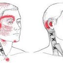 CM Fitness 이미지