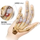 수지봄한의원 이미지