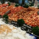 싱싱한마켓 이미지