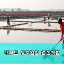 염전체험 네이버블로그